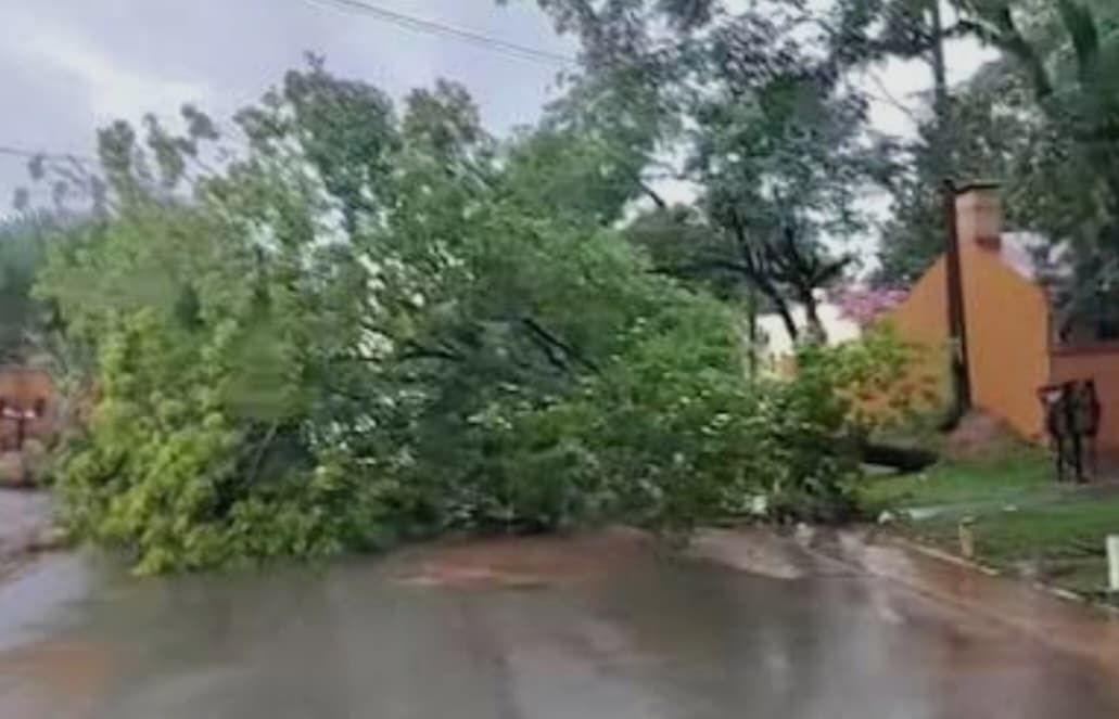 Temporal dejó sin energía a unos 100 mil usuarios en Alto Paraná